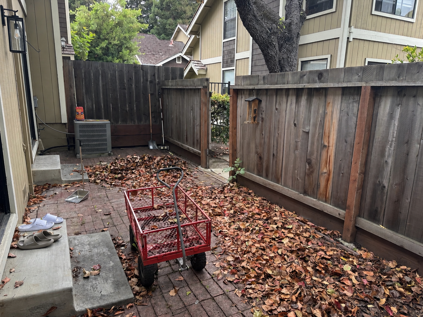 Before lawn and yard cleanup work