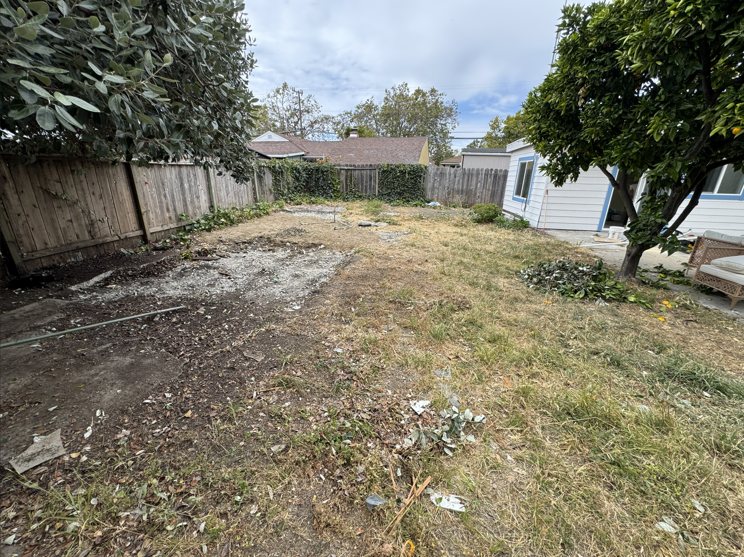 Before lawn and yard cleanup work