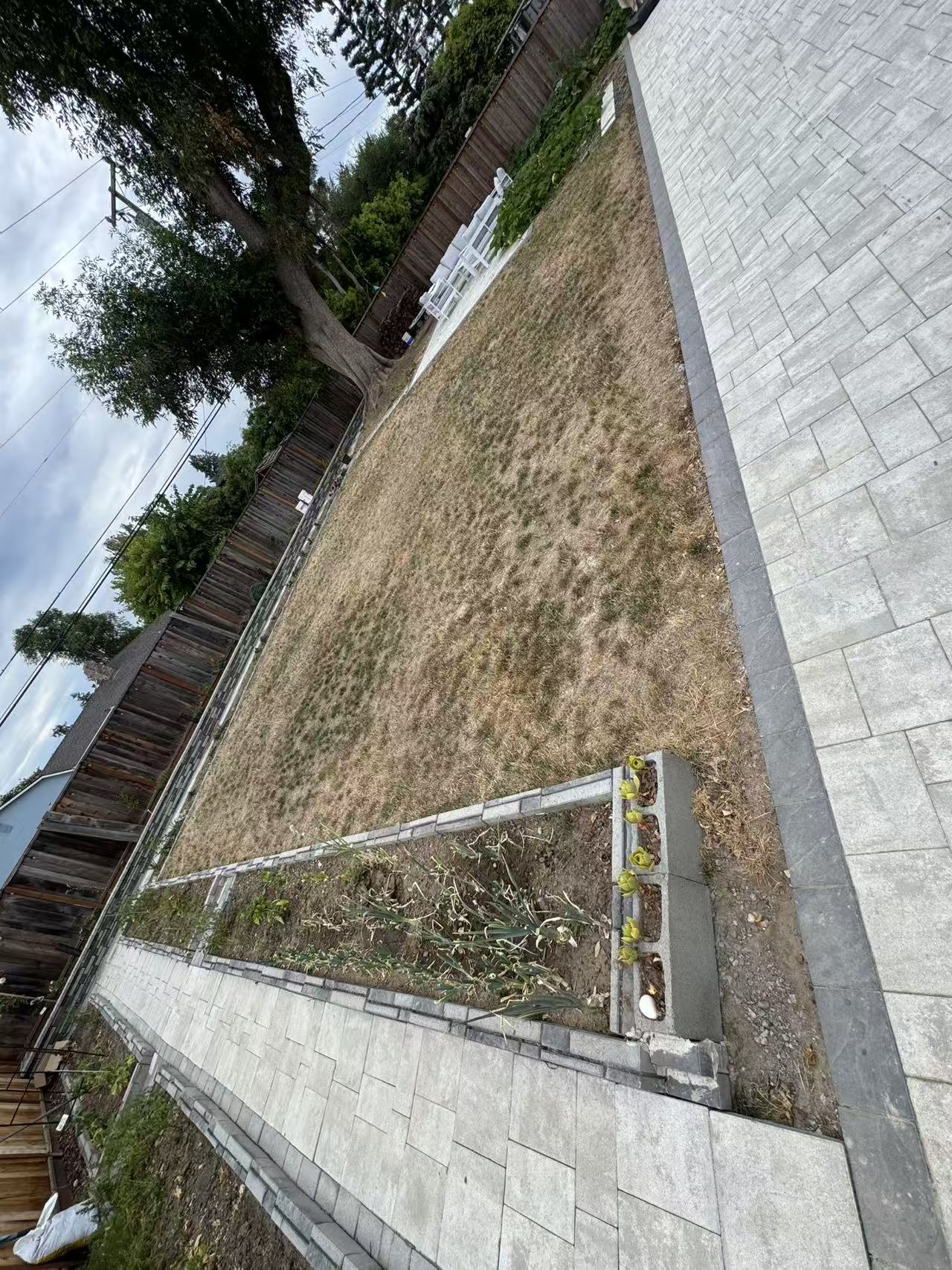施工前草坪和景观改造效果